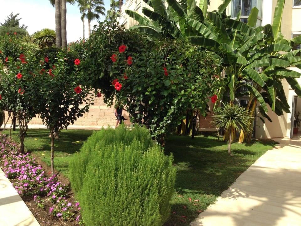 Gartenbereich Richtung Strand Melas Resort Hotel