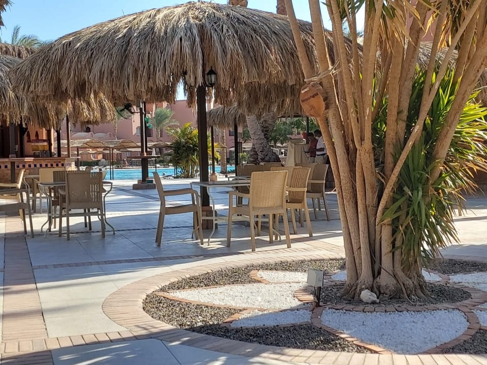 Gastro Jaz Makadi Oasis Resort