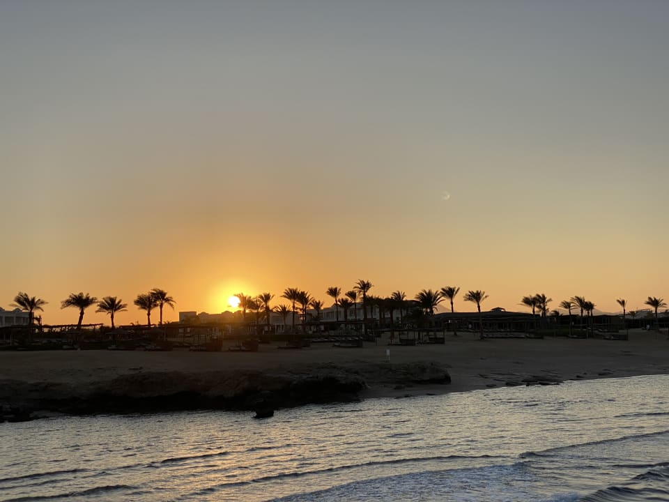 Strand Steigenberger Resort Alaya Marsa Alam - Red Sea - Adults only