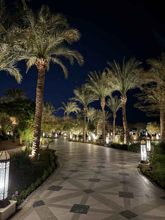 Gartenanlage The Grand Palace - Adults only