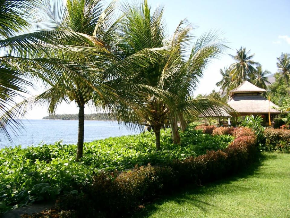 Meer und Restaurant Hotel Gaia Oasis