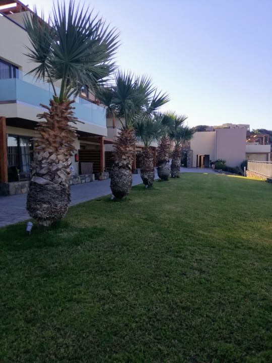 Gartenanlage Atlantica Mikri Poli Crete