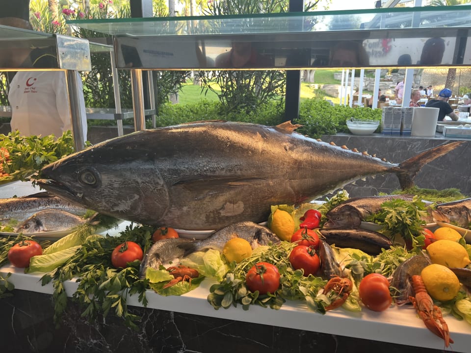 Gastro Monachus Family Resort Sorgun