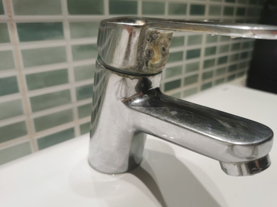 Zimmer Calimera Fido Gardens