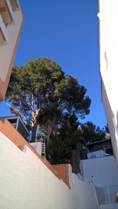 Ausblick Hostal Villa Cati