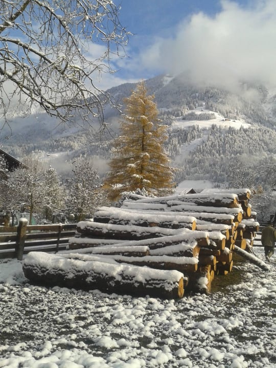 Winter-Eindrücke am Hof Comfort-Farm Zittrauerhof
