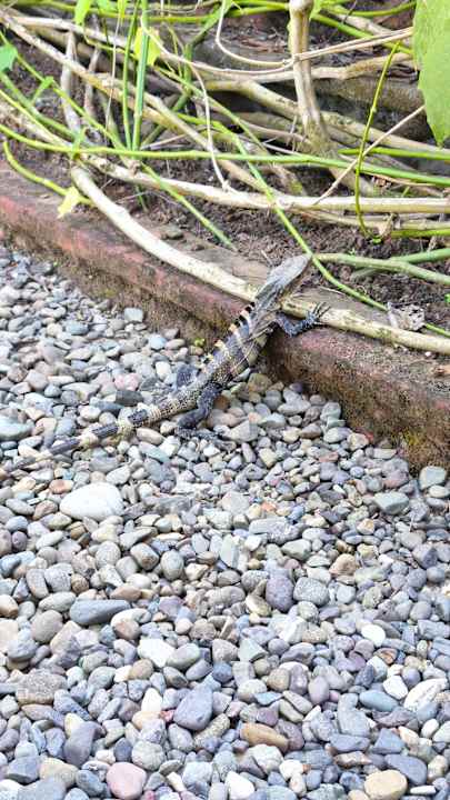 Außenansicht Hotel Beso del Viento
