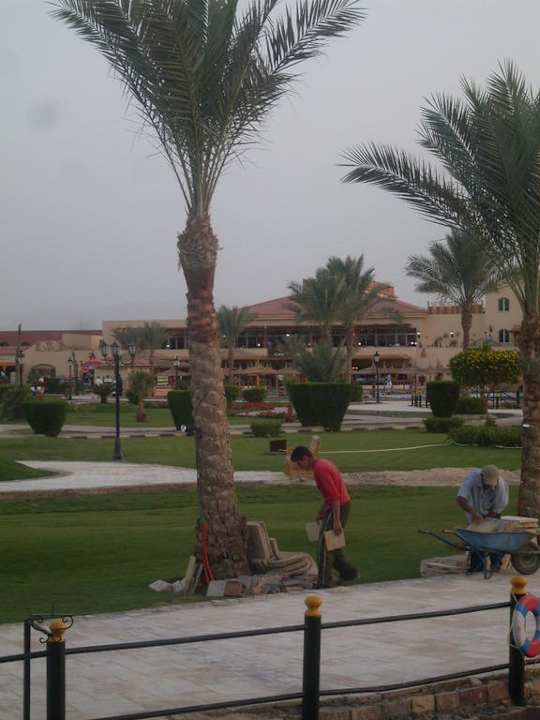 Garten mit Palmen Pickalbatros Dana Beach Resort - Hurghada