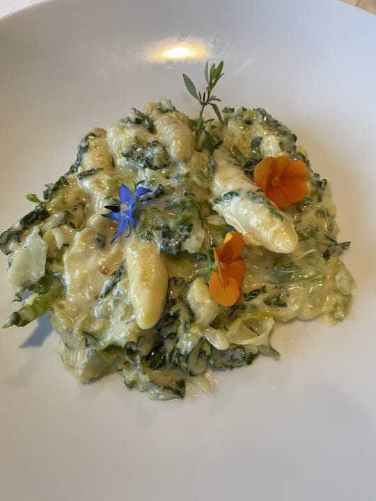 Gastro Hotel Birkenhöhe