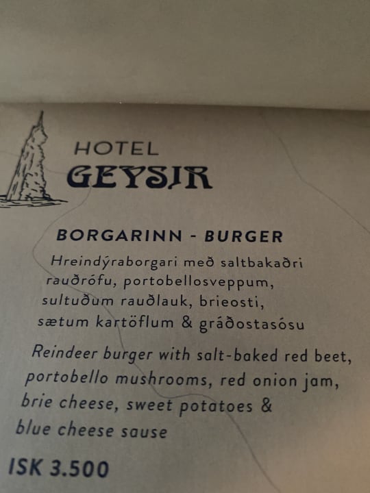 Gastro Hotel Geysir