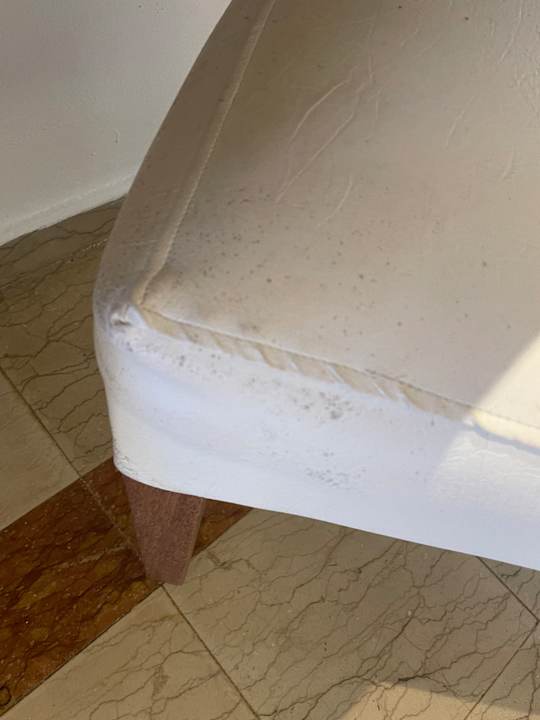 Zimmer Hotel Viva Dominicus Palace by Wyndham-All Inclusive Resort