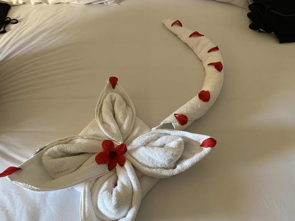 Zimmer Stella Garden Resort & Spa, Makadi Bay