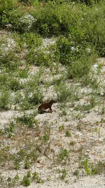 Ausblick Casa Melissa