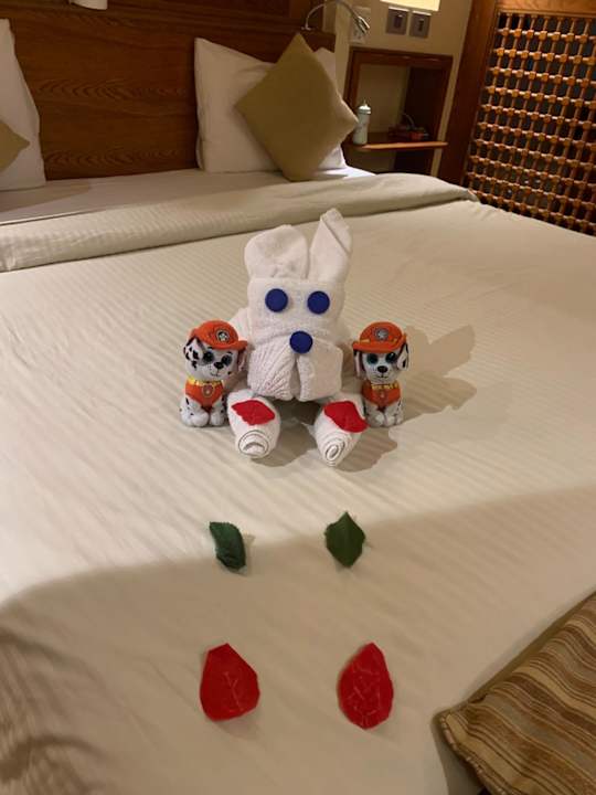 Zimmer Grand Waterworld Makadi & Family Star Makadi