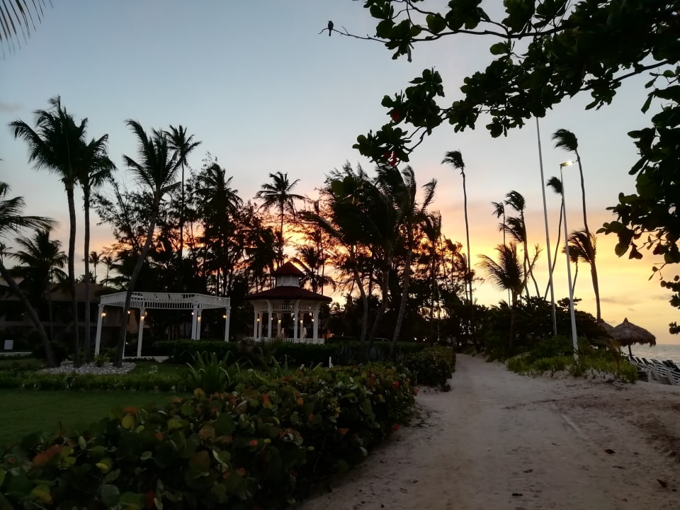 Strand Grand Palladium Punta Cana Resort & Spa