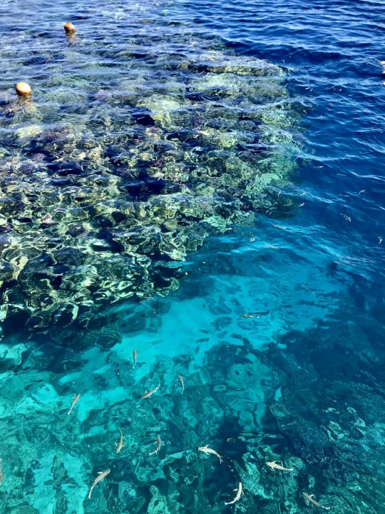 Strand TUI MAGIC LIFE Kalawy