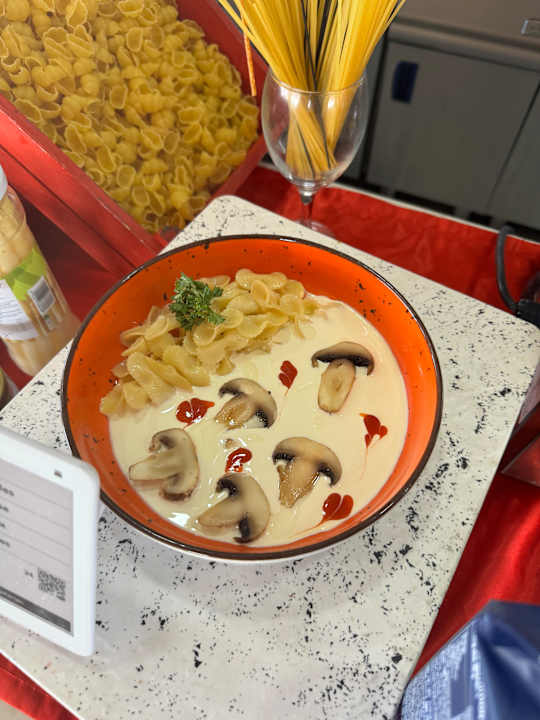 Gastro Seashell Vega