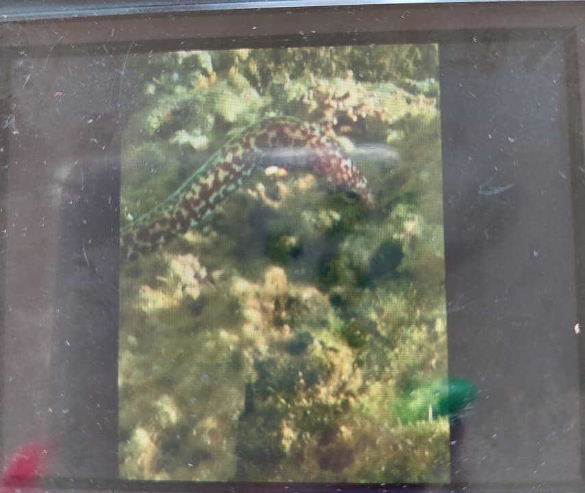 Sport & Freizeit Bahia Principe Grand El Portillo