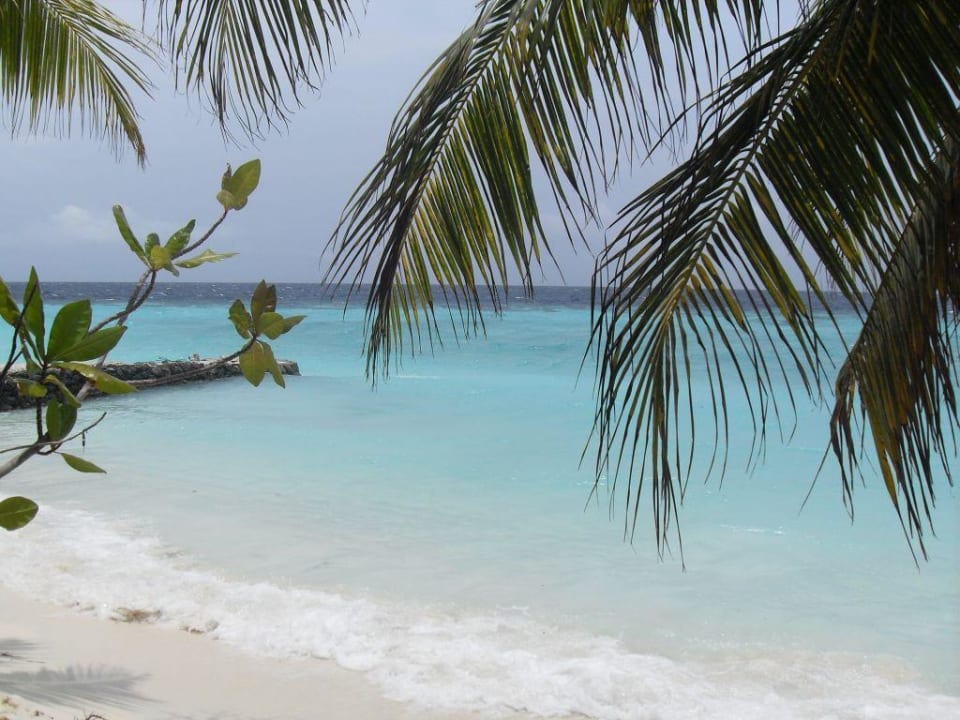 Blick vor dem Bungalow Eri Maldives