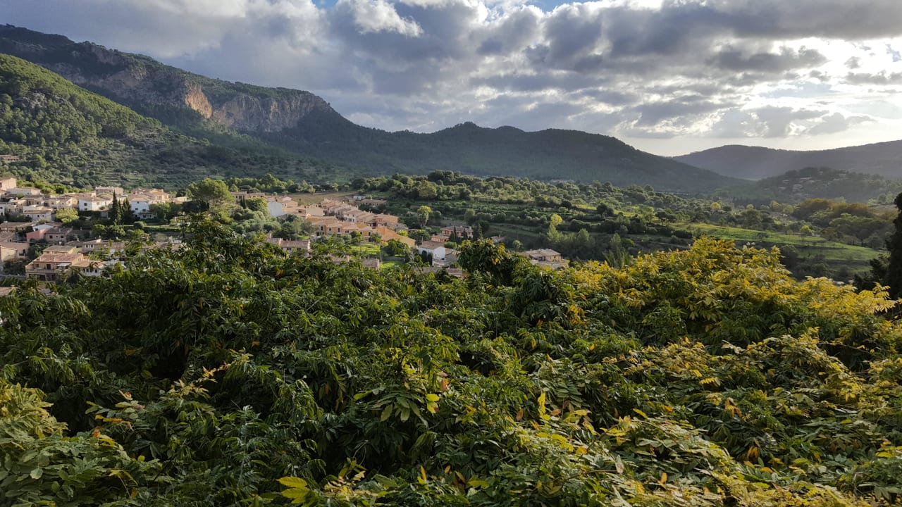 Toller Blick Gran Hotel Son Net