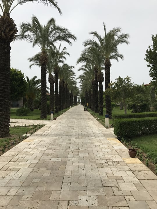 Gartenanlage TUI BLUE Palm Garden
