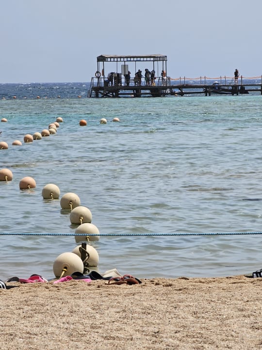 Strand Jaz Dar EL Madina