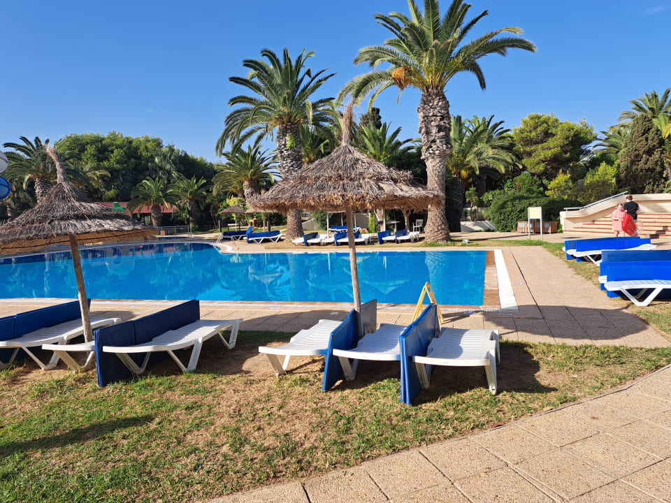 Pool Tui Blue Manar Hammamet Holidaycheck Gro Raum Monastir