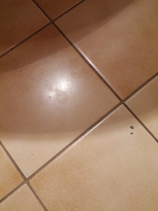 Zimmer Hotel Central