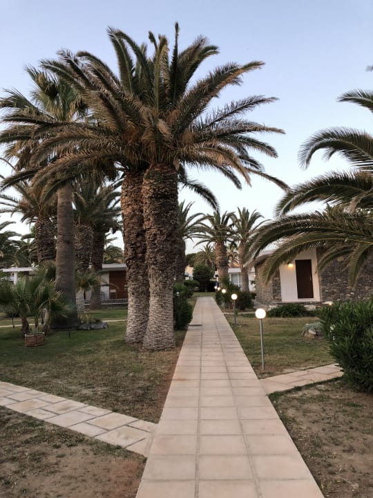 Gartenanlage Civitel Creta Beach