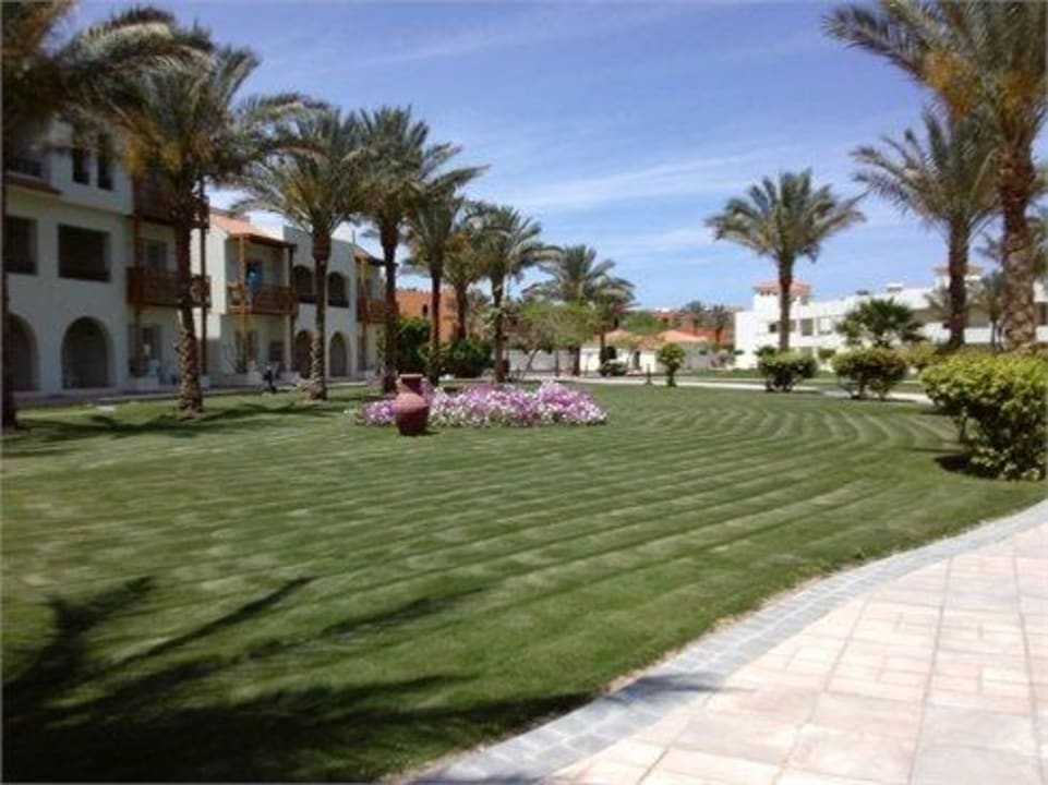 Vor 3000'er Anlage Pickalbatros Dana Beach Resort - Hurghada