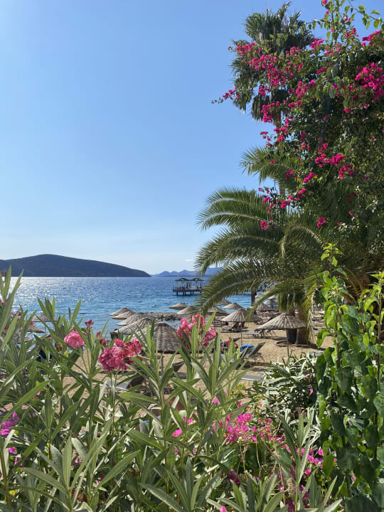Strand TUI MAGIC LIFE Bodrum - Adult Only (16+)