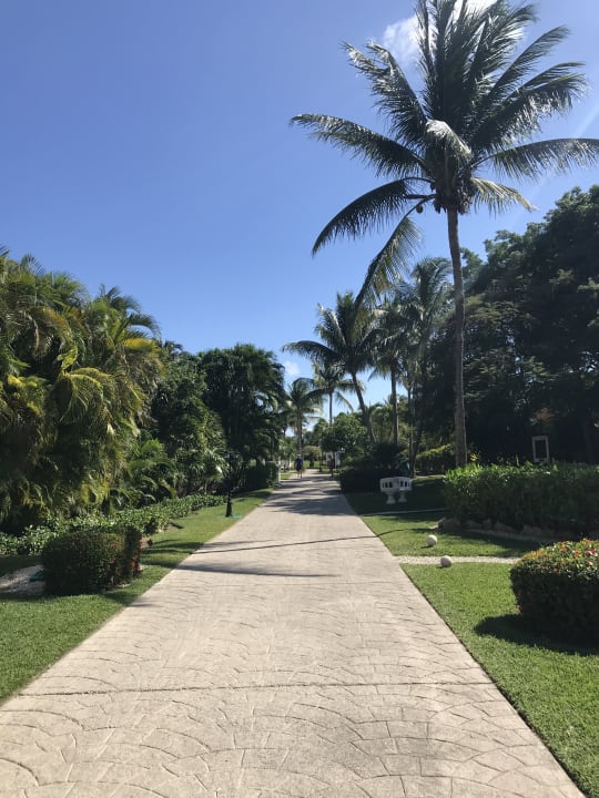 Gartenanlage H10 Ocean Maya Royale - Adults only