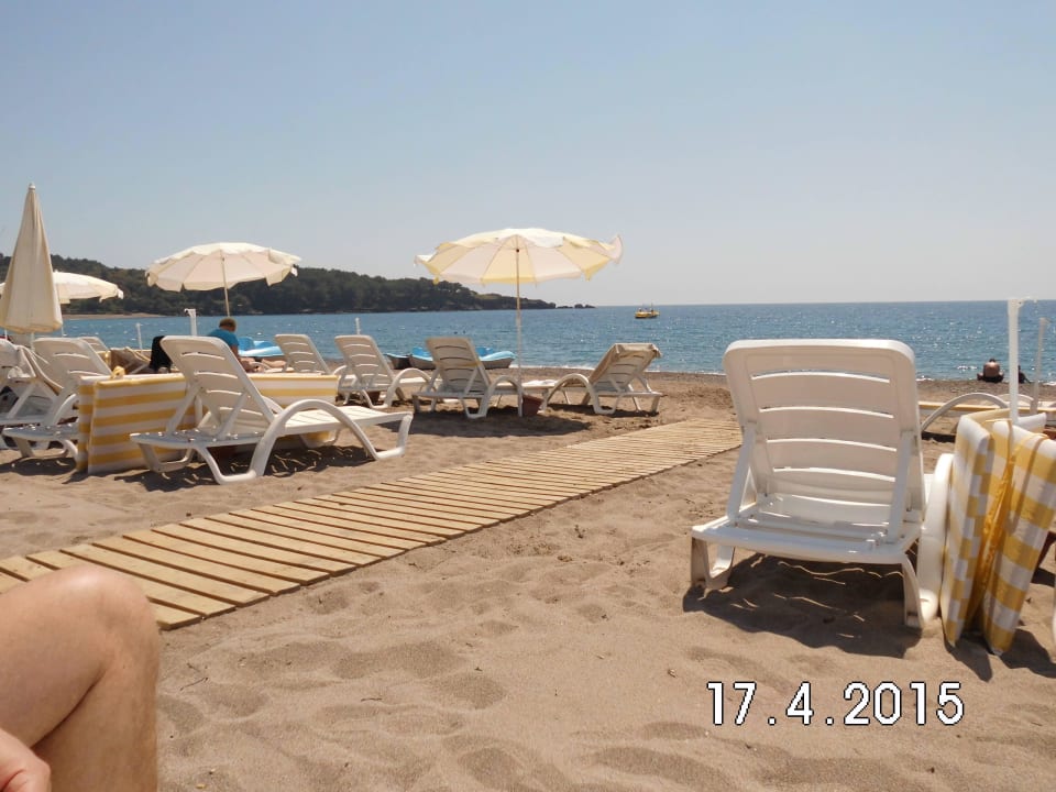 Genügend Liegen zur Verfügung Hotel Gardenia Beach