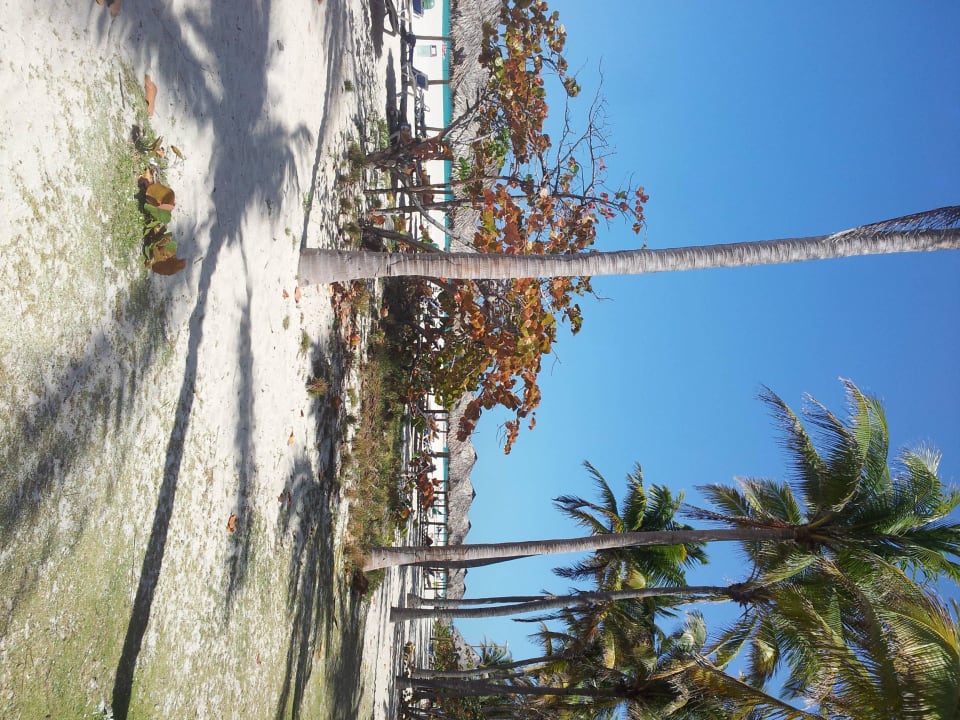 Strand Hotel Puntarena Playa Caleta