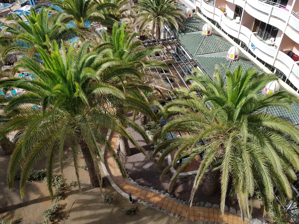 Gastro Abora Buenaventura by Lopesan Hotels