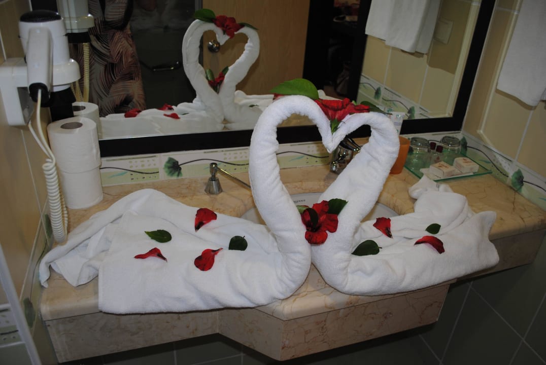 Schwan im Bad Hotel Orfeus Park