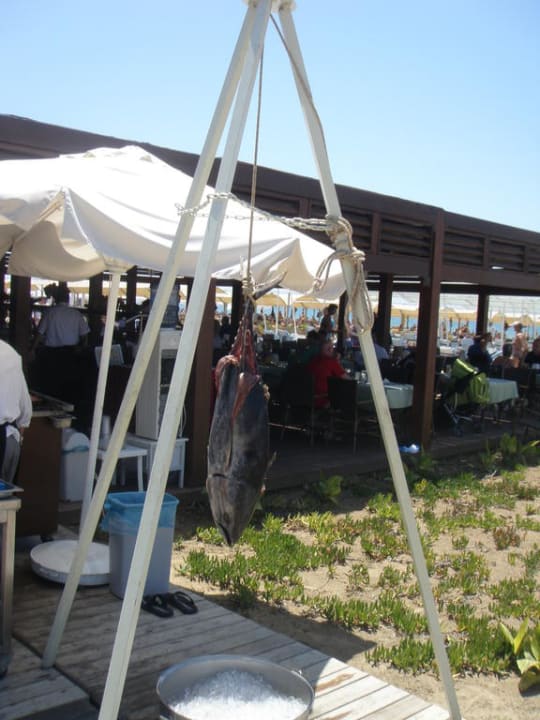 Thunfisch am Strand Sunis Evren Beach Resort Hotel & Spa