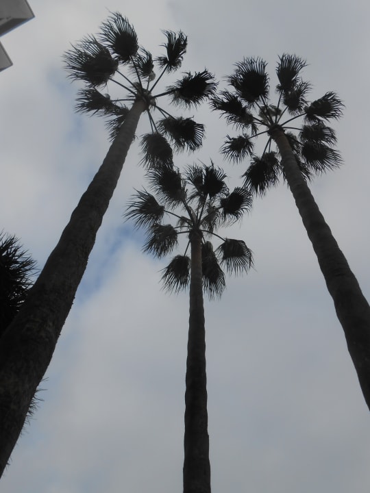 Sonstiges Hotel Vibra Beverly Playa