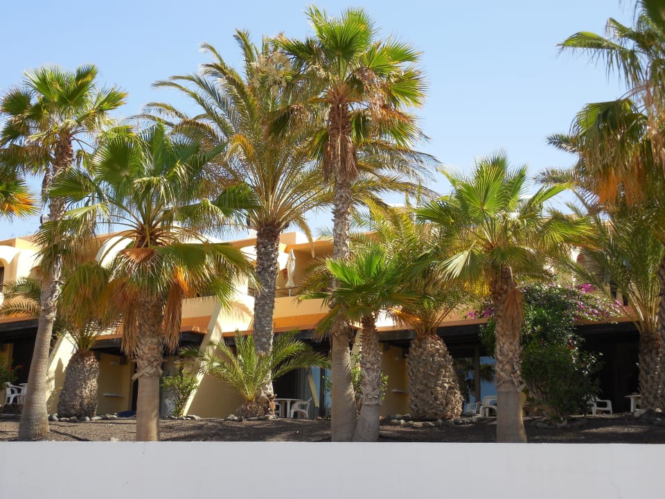 Blick auf die gepflegte Hotelanlage Garden & Sea Boutique Lodging by LIVVO