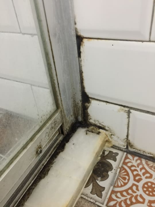 Zimmer Club Hotel Anjeliq