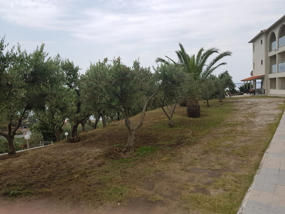 Gartenanlage Akrathos Beach Hotel