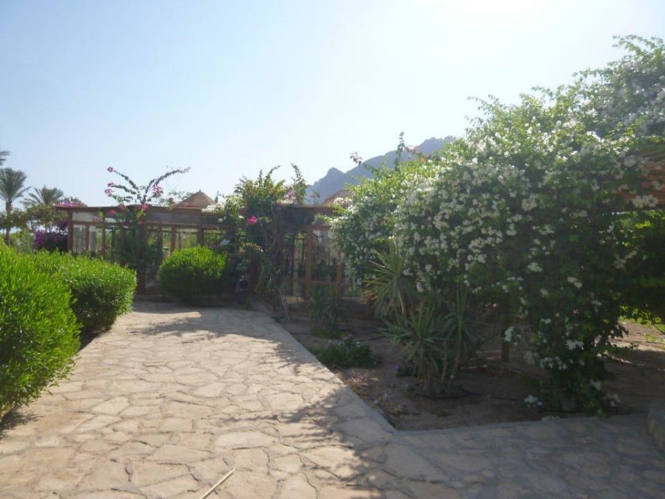 Der Weg zum Fitnessraum Happy Life Village