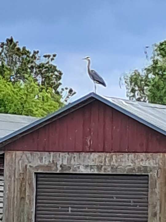 Ausblick Ferienpark Heidenholz