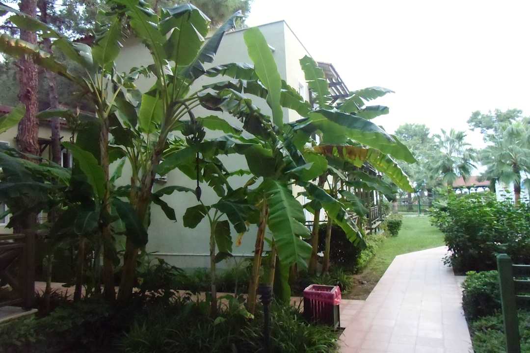 Garten Crystal Flora Beach Resort