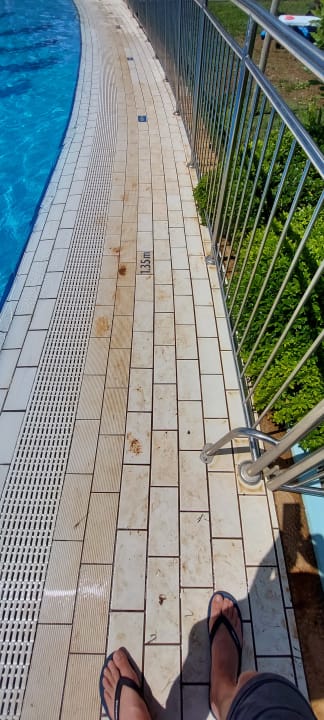 Pool Valamar Tamaris Hotel