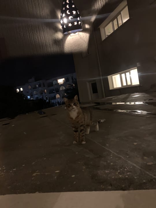 Sonstiges Mahdia Beach & Aquapark