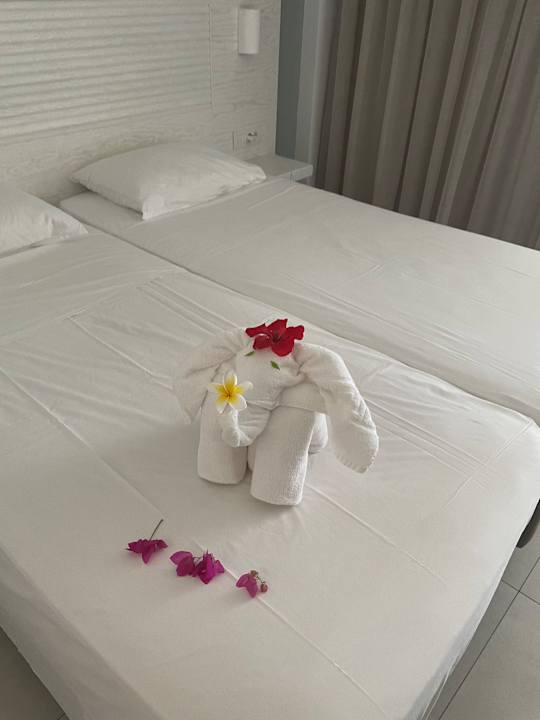 Zimmer Apollon Hotel