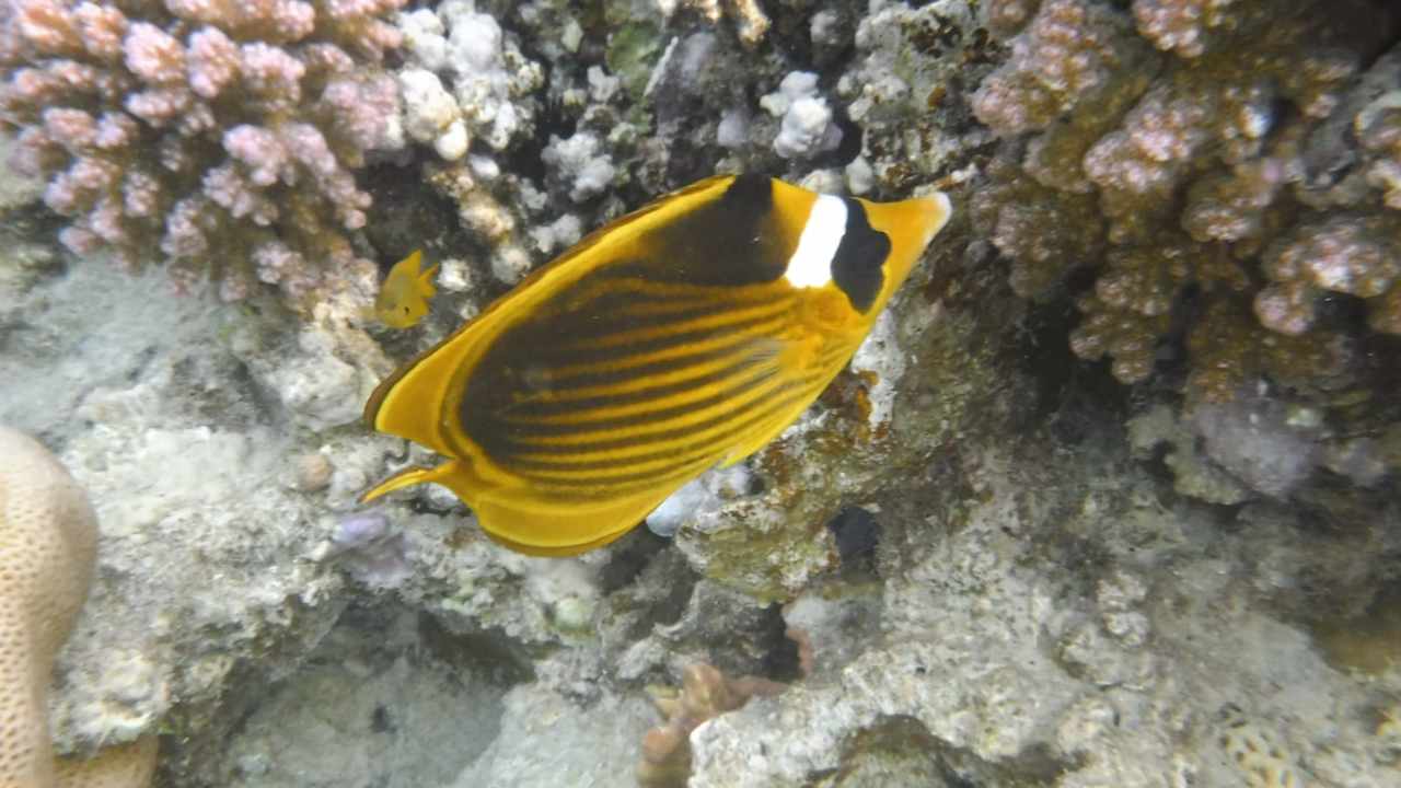 Sport & Freizeit Makadi Spa - Adults only