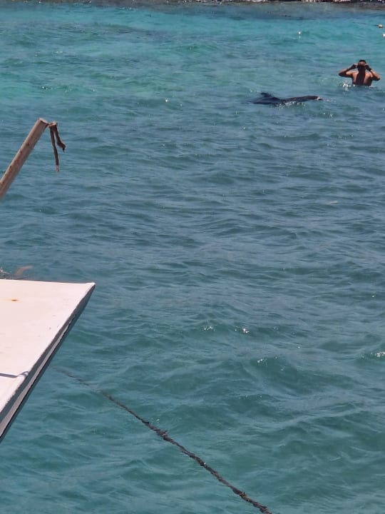 Strand Royal Star Beach Resort