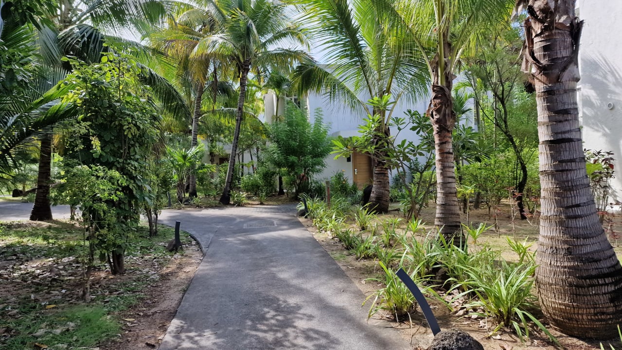 Gartenanlage Paradis Beachcomber Golf Resort & Spa